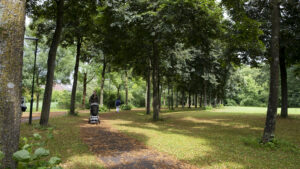 Groen Houten